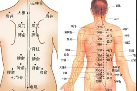 艾灸禁忌、艾灸注意事項(xiàng)