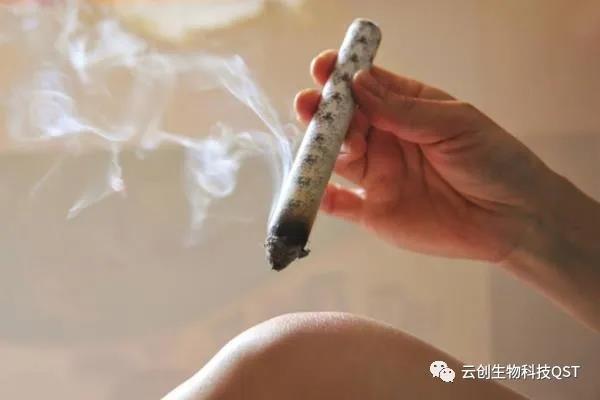 艾灸能同時調(diào)理好幾種婦科問題，簡單有奇效，現(xiàn)在開始灸還不晚！