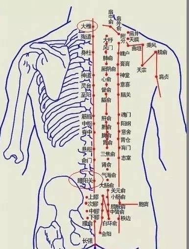 艾灸好這幾穴位一整年不發(fā)胖，艾灸減肥的穴位，快灸起來！