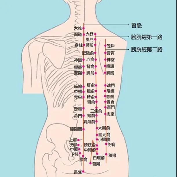 冷熱痛麻酸腫，這是經(jīng)絡(luò)信號(hào)在傳遞身體隱患