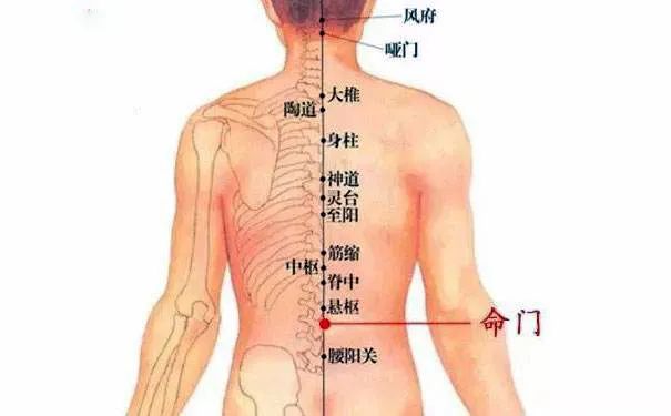 命門火衰影響人體生老病衰？命門穴有何神奇，竟決定生命的元陽盛衰？